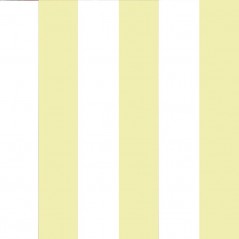 Basics & Stripes Ref.5500-7