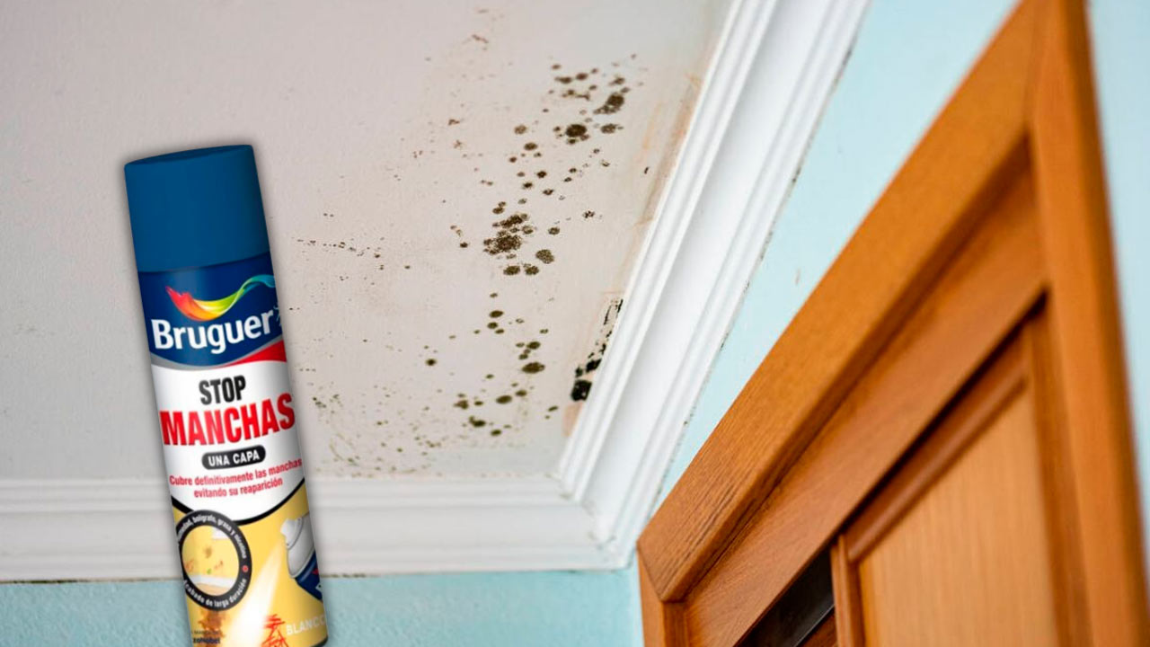 Cómo pintar el techo cuando hay manchas de humedad o nicotina