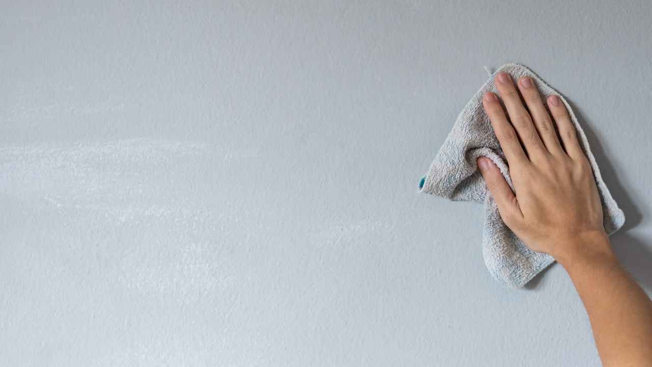 ¿Cómo cuidar y mantener la mejor pintura para interiores en buen estado?