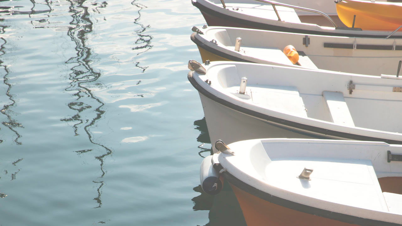 Qué es osmosis y cuándo ocurre