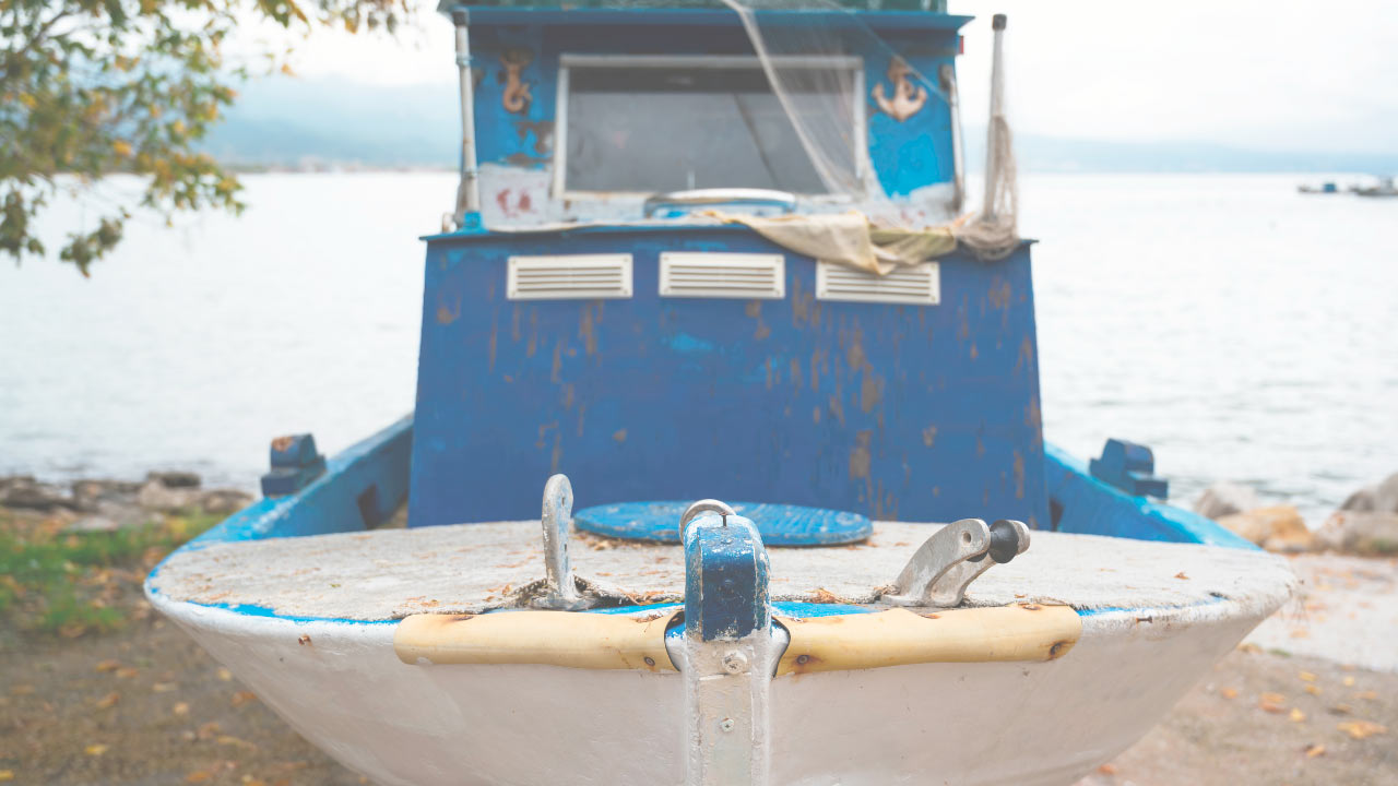 Qué es osmosis: prevención y tratamiento