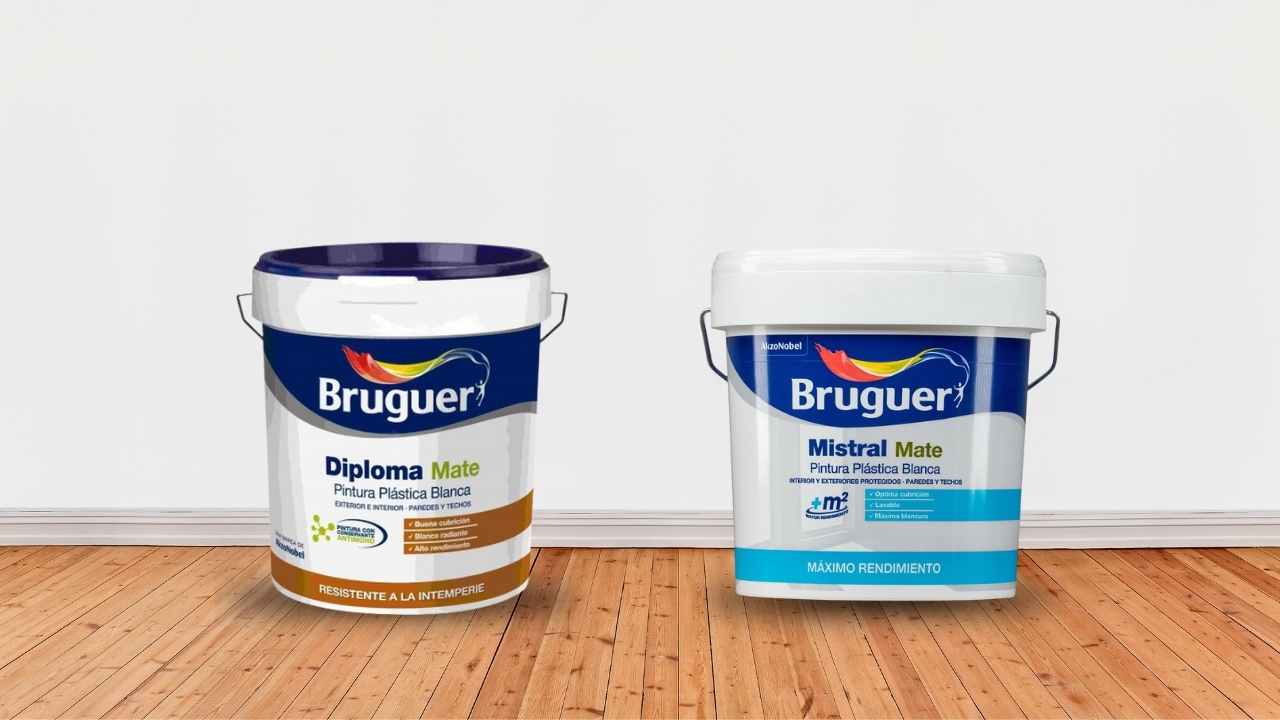 Bruguer diploma mate mistral